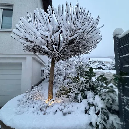 Casa Brocktega Feriehus Bestwig